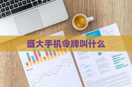 盛大手机令牌叫什么