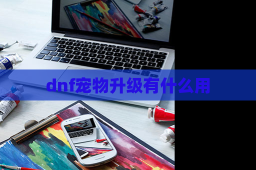 dnf宠物升级有什么用